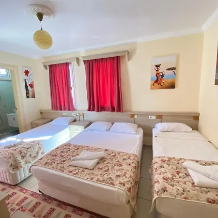 Sevin Otel 2*