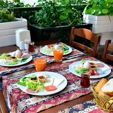 Sevin Bodrum